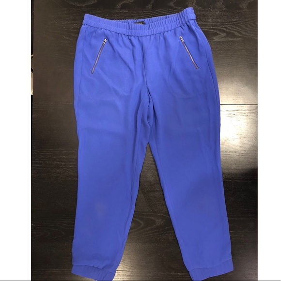 J. Crew Pants - J. Crew Blue Turner Pant
